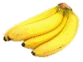 �o�i�i