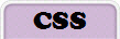 CSS