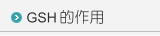 GSH���@��