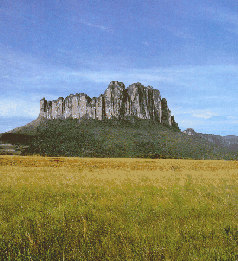 Tepuy representativo del relieve de la Regi�n