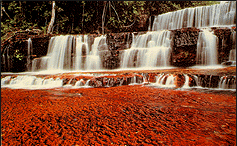 La Gran Sabana