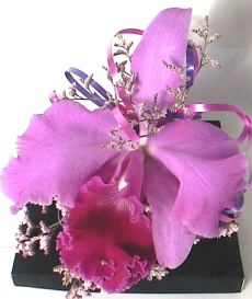 Flor Nacional de Venezuela