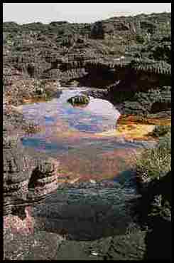 Roraima