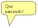 Texto explicativo retangular com cantos arredondados: Que narigudo!