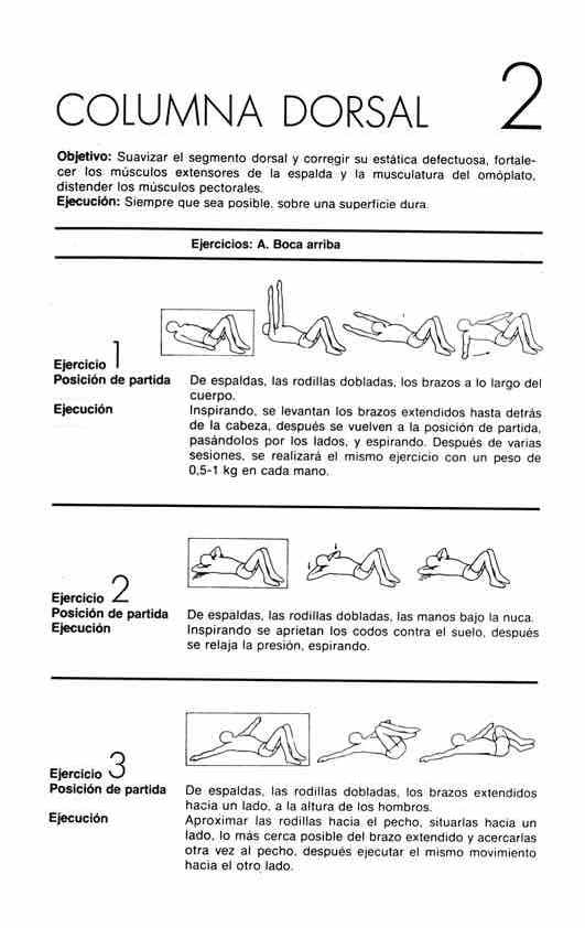 Dorsal1