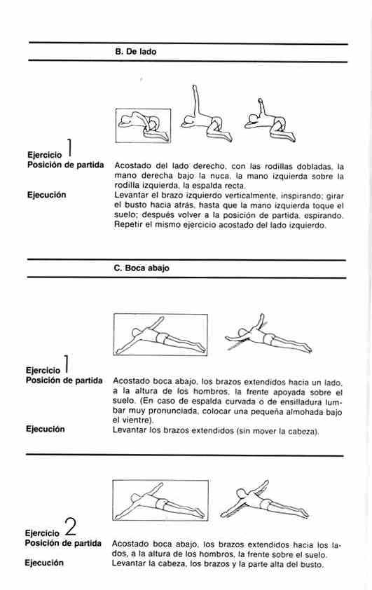 Dorsal2