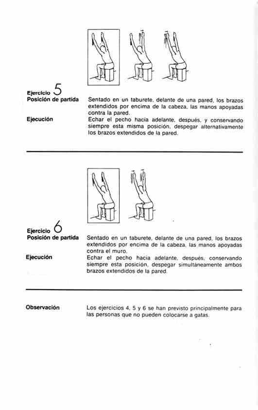 Dorsal6