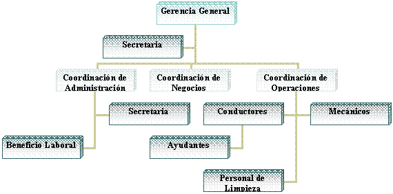 Organigrama