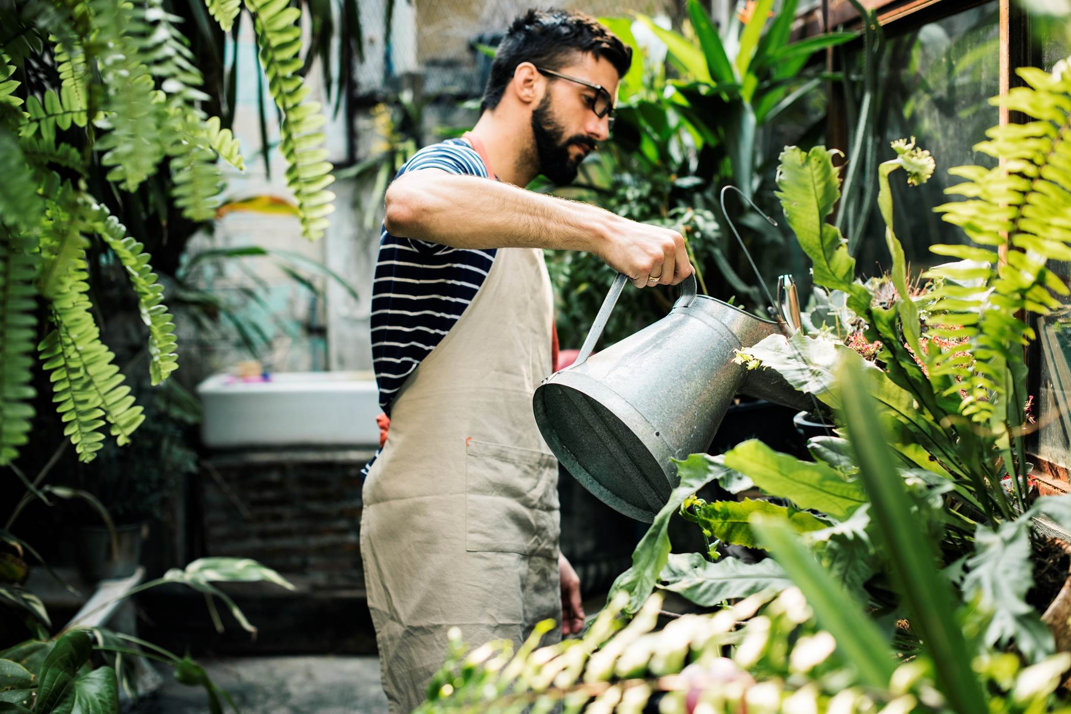 Man watering plants