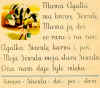 lek11.jpg (67753 bytes)