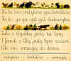 lek20.jpg (76710 bytes)