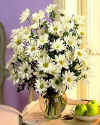flor_003.jpg (27197 bytes)