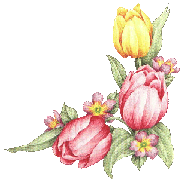 Tulipas
