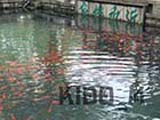 images/album2/a02.jpg