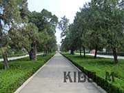 images/album2/a03.jpg
