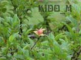 images/album3/a04.jpg