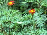 images/album3/a05.jpg