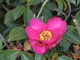 images/album3/a06.jpg