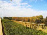 images/album3/a13.jpg