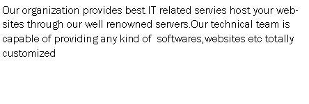 Text Box: Our organization provides best IT related servies host your websites through our well renowned servers.Our technical team is capable of providing any kind of  softwares,websites etc totally customized 
