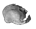 Asteroid 243 Ida!