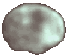 Asteroid 4 Vesta!