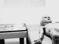 Autopsia al extraterrestre.