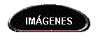 IM�GENES