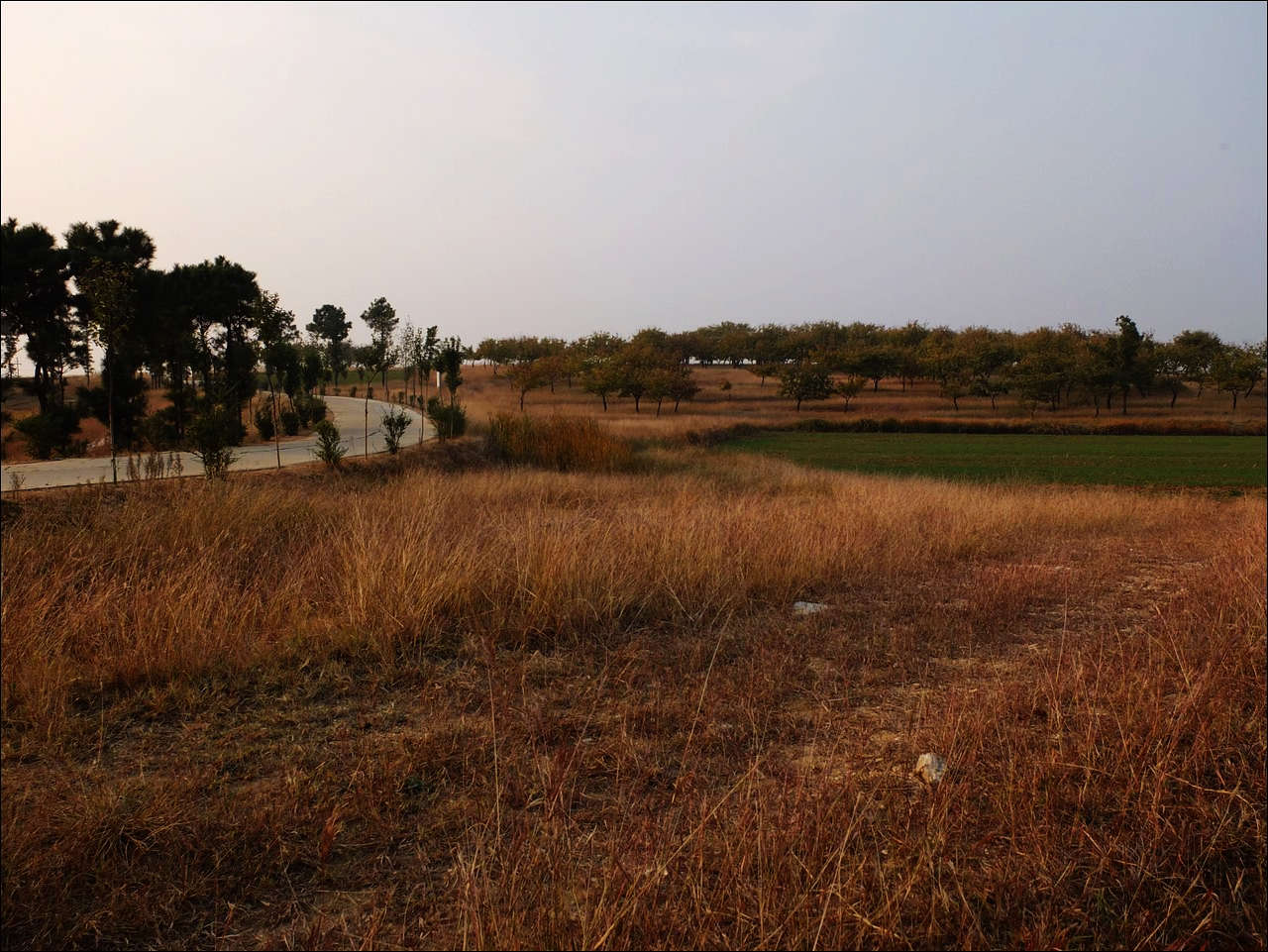 DSCF0273.JPG