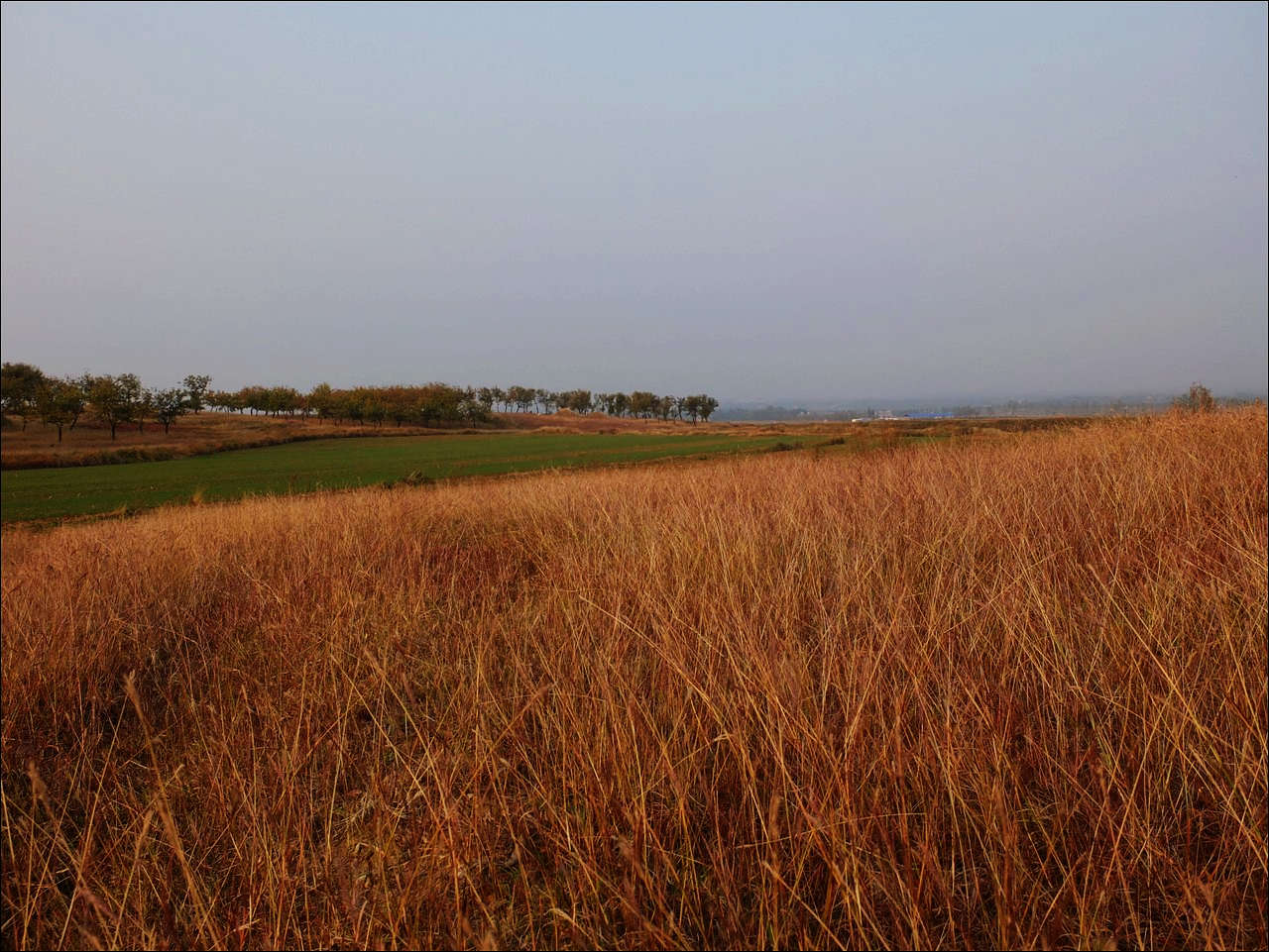 DSCF0275.JPG