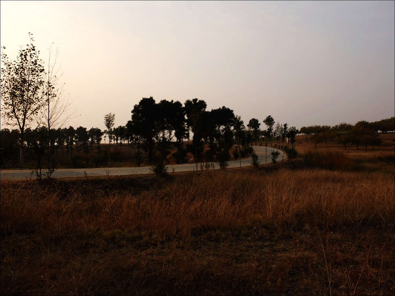 DSCF0277.JPG