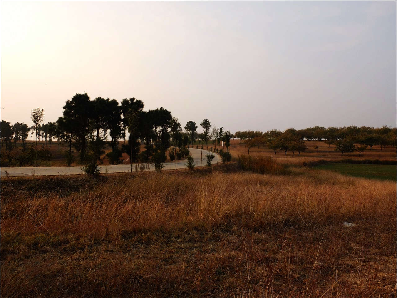 DSCF0278.JPG