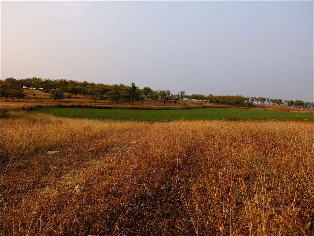 DSCF0281.JPG