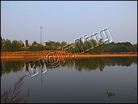 DSCF0248.JPG