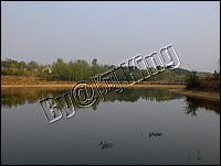 DSCF0251.JPG