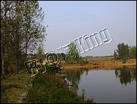 DSCF0254.JPG