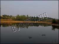 DSCF0260.JPG