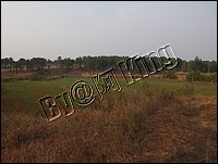 DSCF0271.JPG