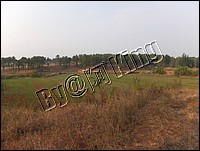 DSCF0272.JPG