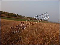 DSCF0274.JPG