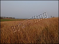 DSCF0276.JPG