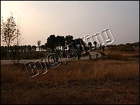 DSCF0277.JPG