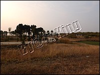 DSCF0278.JPG
