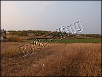 DSCF0279.JPG