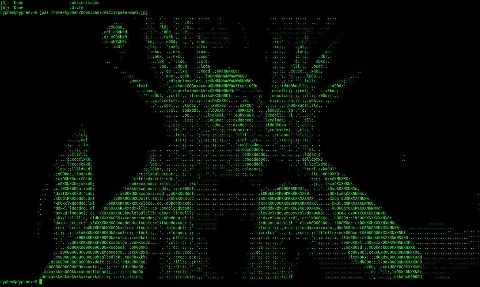 The Terminal Perception - ASCII Art