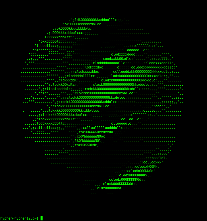 The Terminal Perception - ASCII Art