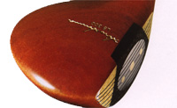 LB-300 Super Persimmon