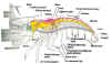 intercrus.bmp (1041462 bytes)