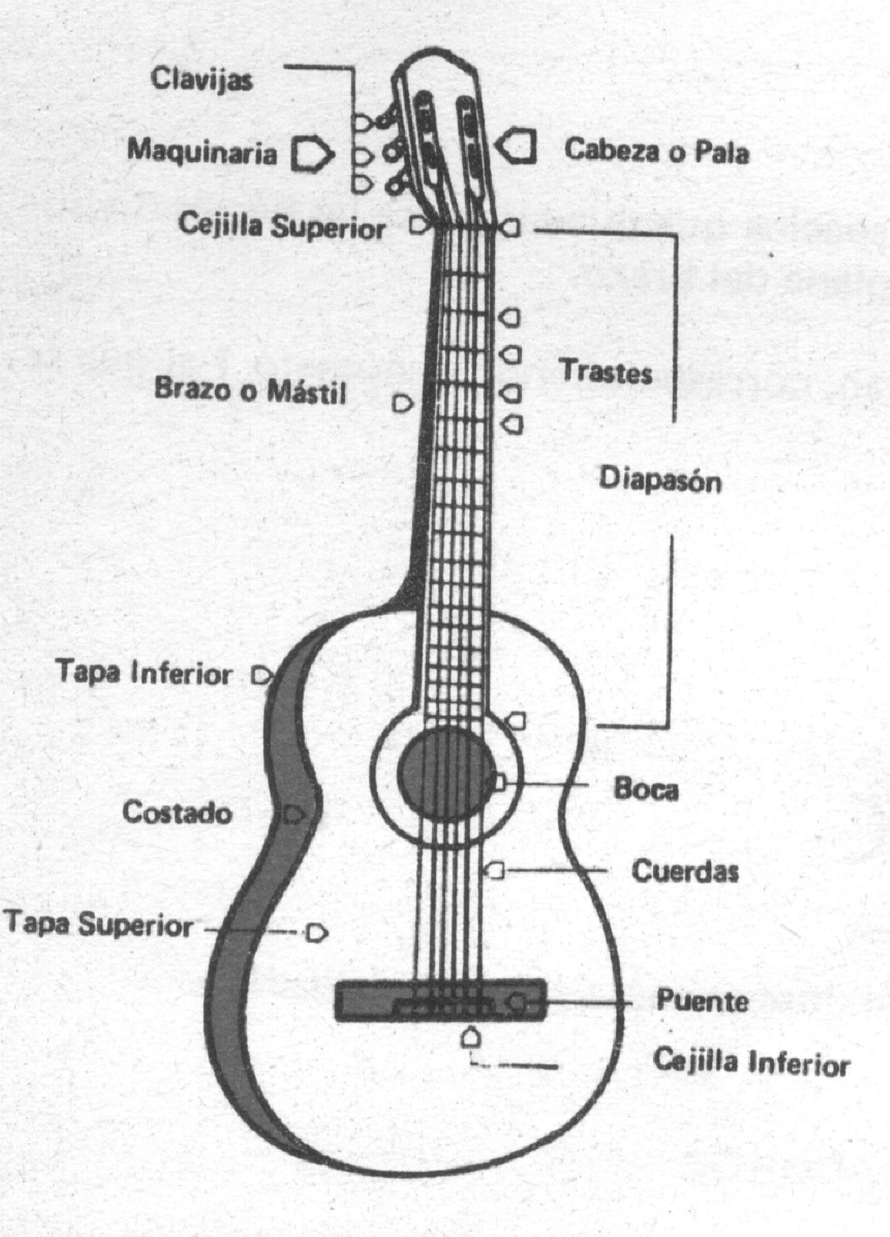 Instrumentos cord fonos