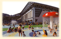 pool3.jpg (21262 bytes)
